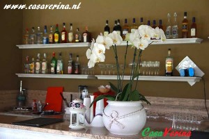 02-mucchine81